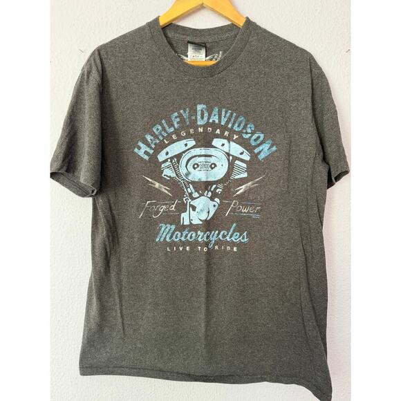 Harley Davidson Other - Harley Davidson T Shirt Cherokee North Carolina 2016 Biker Gray Mens L